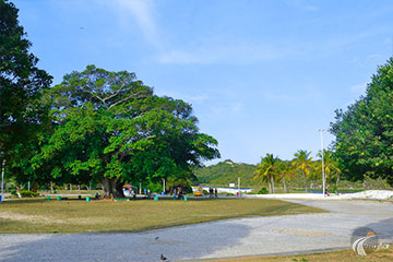 Salvador - Lagoa do Abaeté