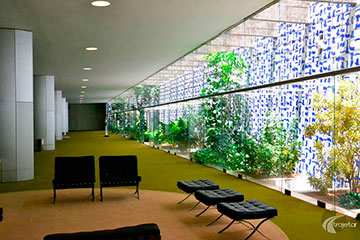 Brasília - Congresso Nacional - Salão Verde e o jardim de inverno de Burle Marx