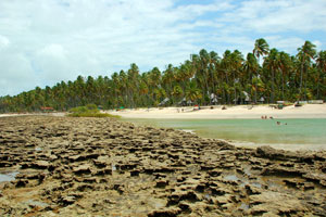 Tamandaré - Praia dos Carneiros - Arrecifes