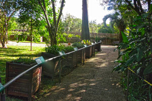 Curitiba - Jardim das Sensações no Jardim Botânico