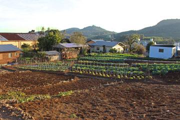 Linha Nova - Agricultura, fonte de renda do município