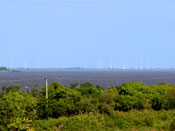 Rota dos Ventos - Parque Eólico de Osório visto da rodovia